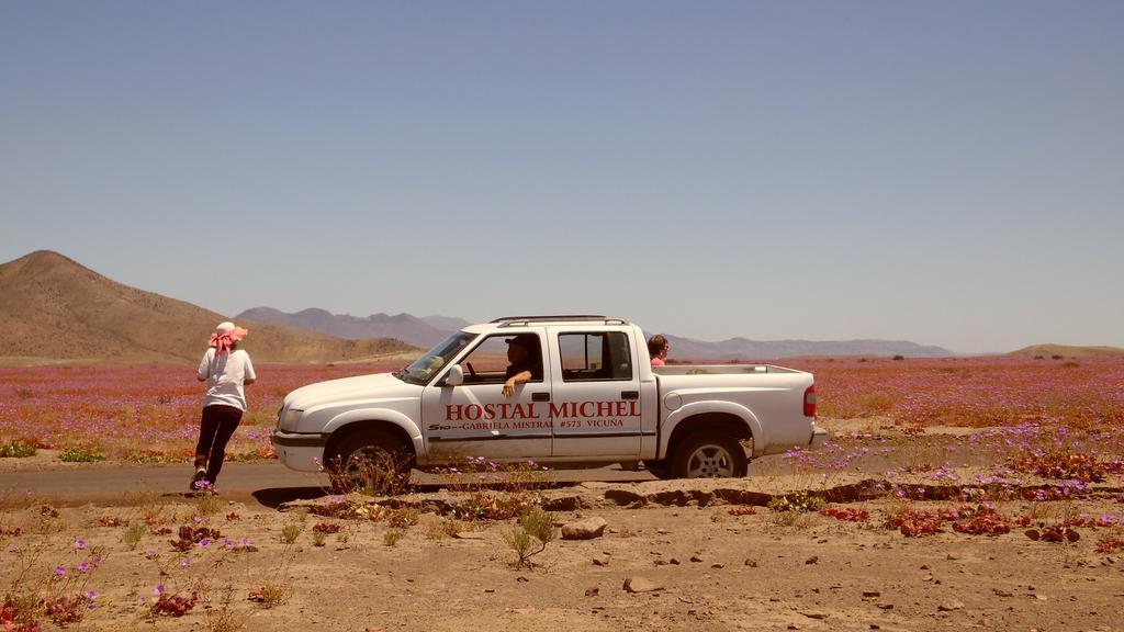 Hostal Michel Vicuña Екстериор снимка