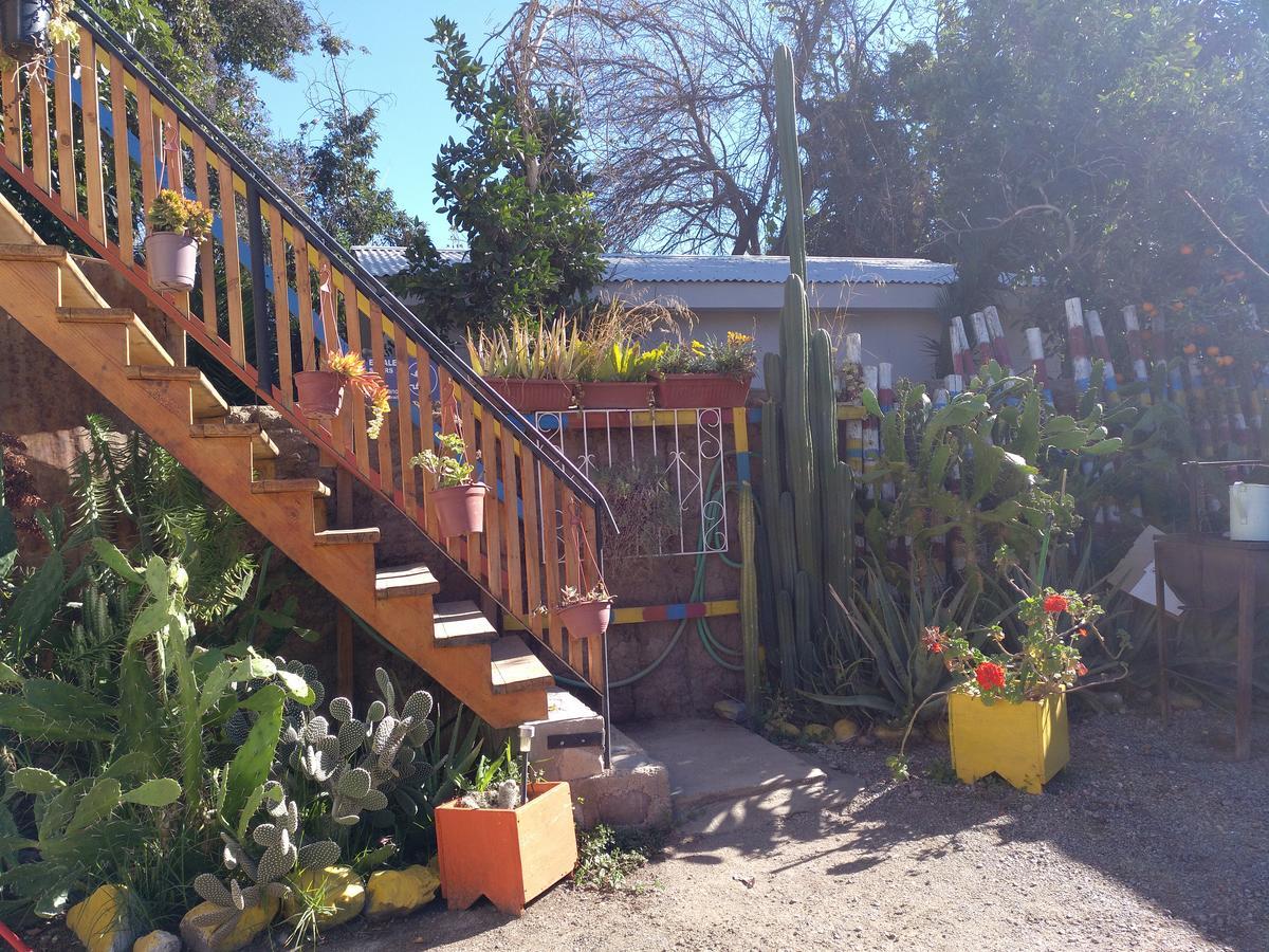 Hostal Michel Vicuña Екстериор снимка