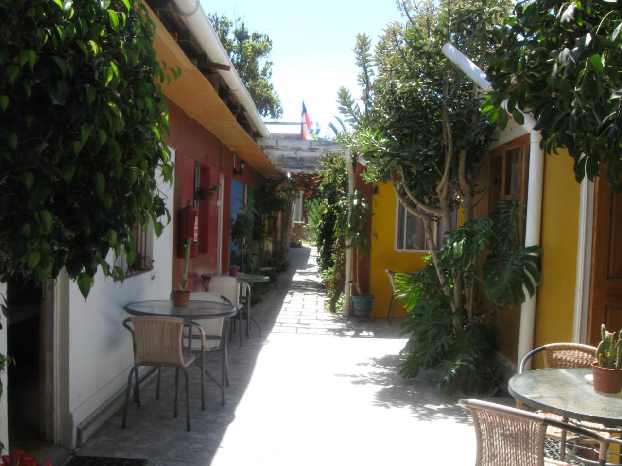 Hostal Michel Vicuña Екстериор снимка