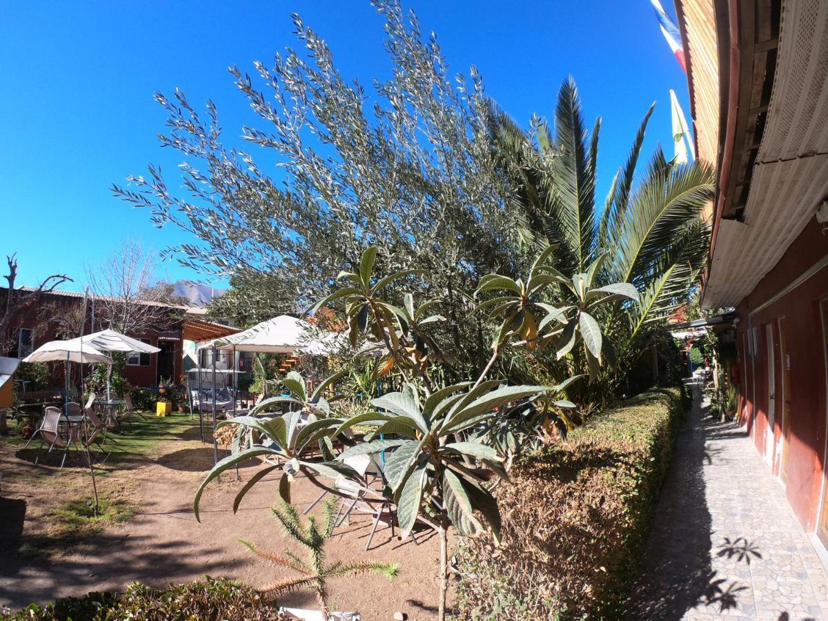 Hostal Michel Vicuña Екстериор снимка