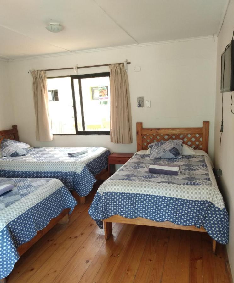 Hostal Michel Vicuña Екстериор снимка